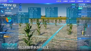 3月16日，央视新闻频道报道，今日，疏勒河灌区多个渠首陆续开闸，借助数字孪生等技术，134万亩农田得以畅饮“智慧”水，实现了水资源的高效利用和农田的精准灌溉。