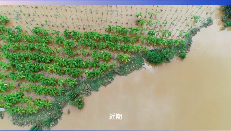 大禹节水：严阵以待，共筑防汛抗旱屏障