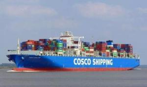 China LCL Sea Freight Shipping by Sea From Qingdao to Hamburg on sale 